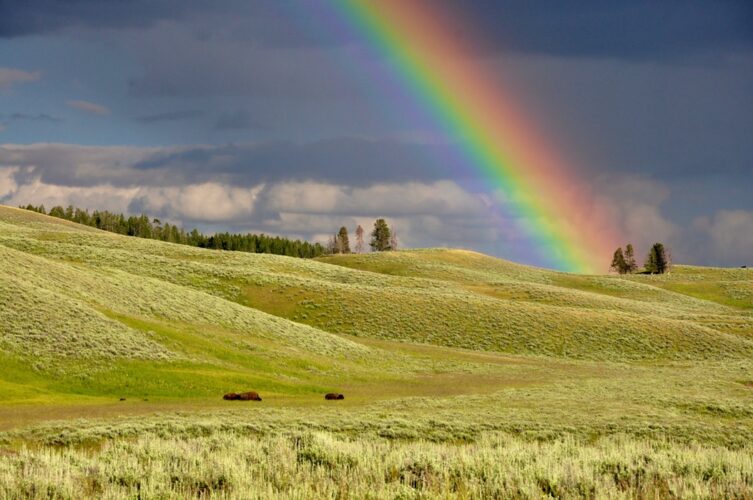 rainbows-are-everywhere-today-but-what-does-the-rainbow-stand-for