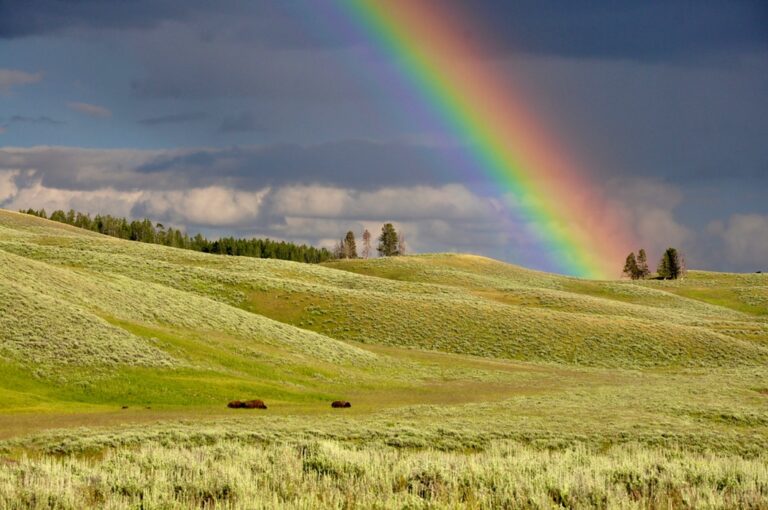 Rainbows Are Everywhere Today But What Does The Rainbow Stand For 